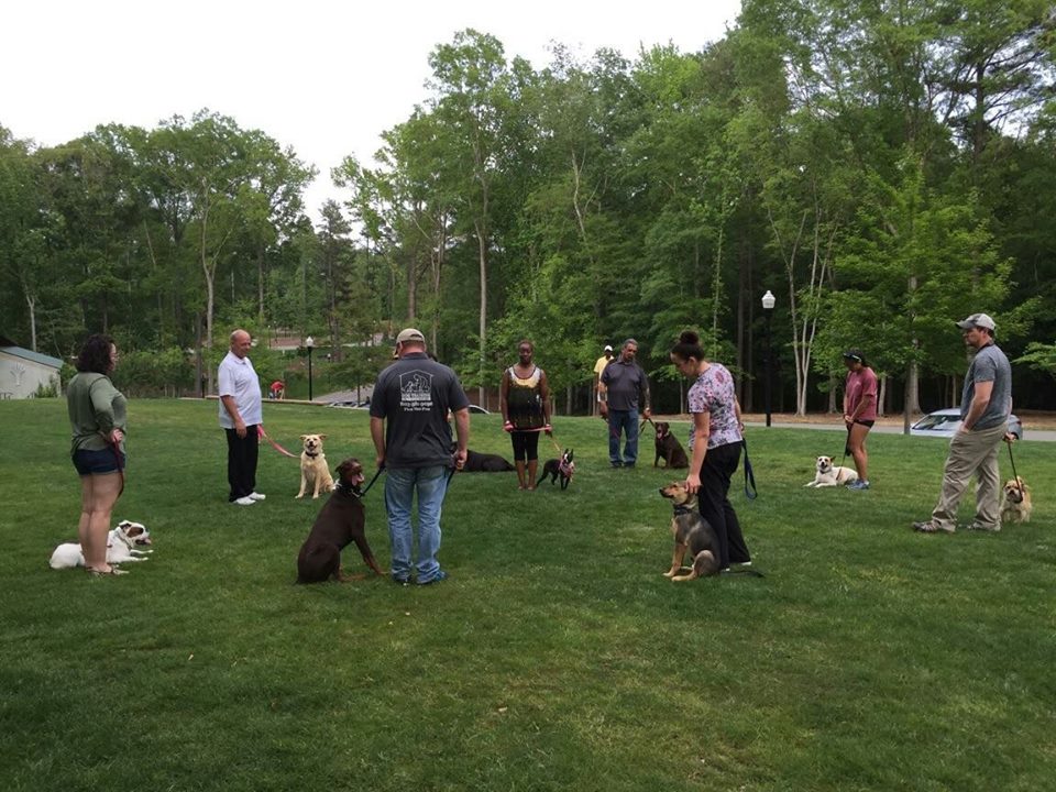 dog training group class
